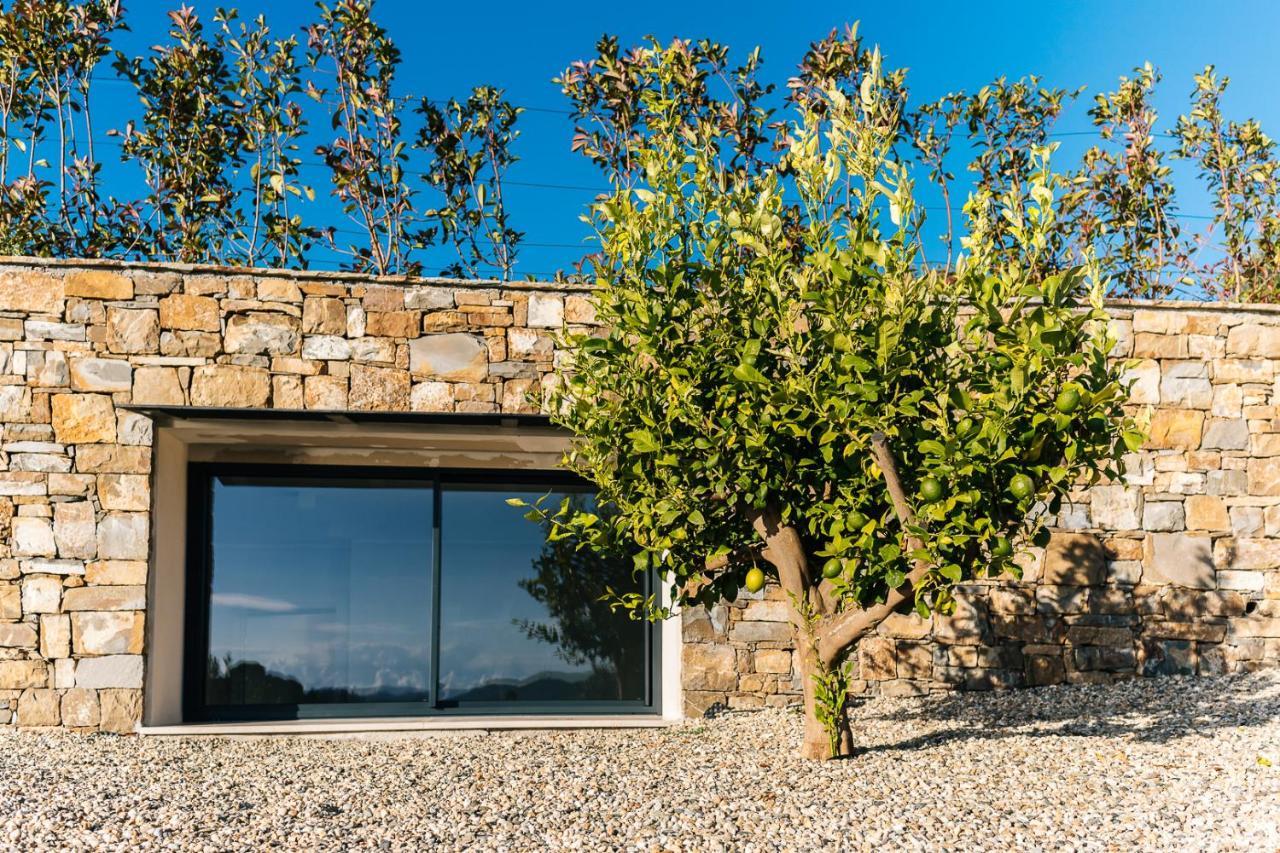 Villa Sabrina Riviera Dei Fiori A Picco Sul Mare Con Piscina Privata ,Wellness & Spa Imperia Luaran gambar